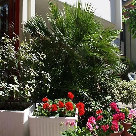 Nobel Hotel 3*